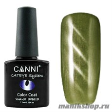 CANNI Cat Eye Color  Coat Магнитный гель лак №285