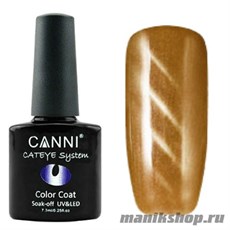 CANNI Cat Eye Color  Coat Магнитный гель лак №288