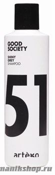 Artego Серебряный шампунь Good Society Shiny Grey 51 Shampoo 250мл