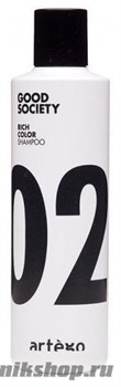 Artego Шампунь для окрашенных волос Good Society Rich Color 02 Shampoo 250мл