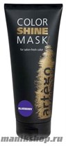 Artego Color Shine Mask Blueberry Маска для тонирования волос ЧЕРНИКА 200мл - фото 105257